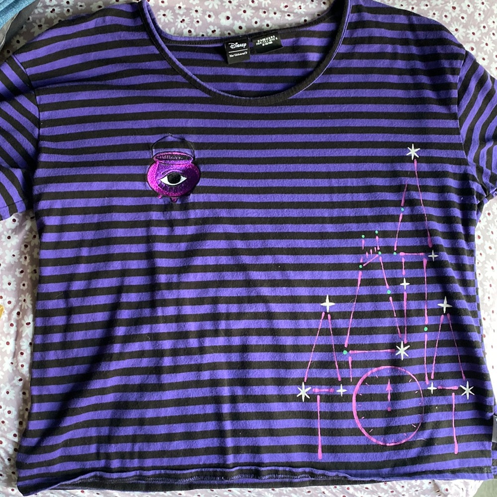 Disney Her Universe Hocus Pocus T Shirt Castle Purple Black Womens Large